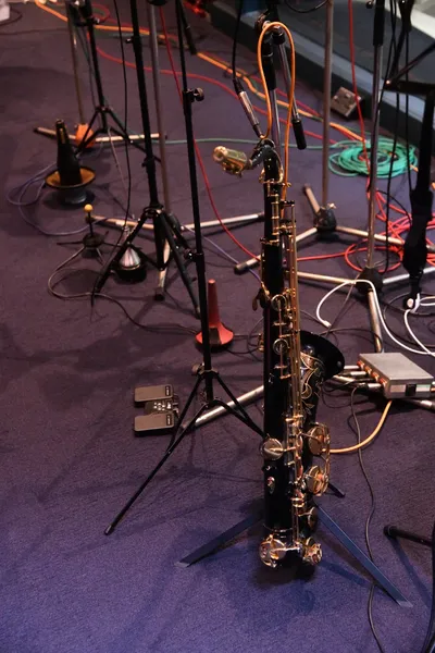 DSC_1655 (Large).JPG